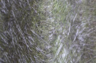 North Kensington fibreglass roof work